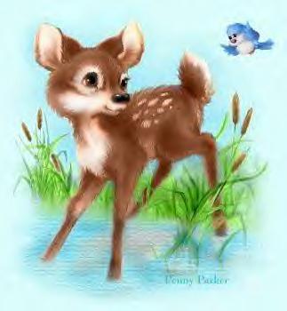 Fawn